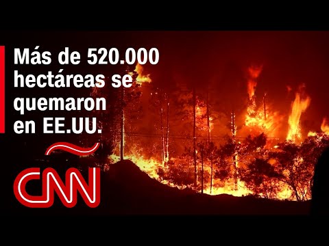 Ola de calor provocó incendios forestales que han calcinado más de 520.000 hectáreas en EE.UU.