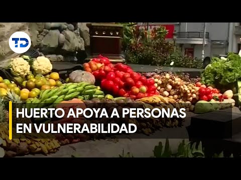 Huerto en San José: trameros entregan alimentos para donación