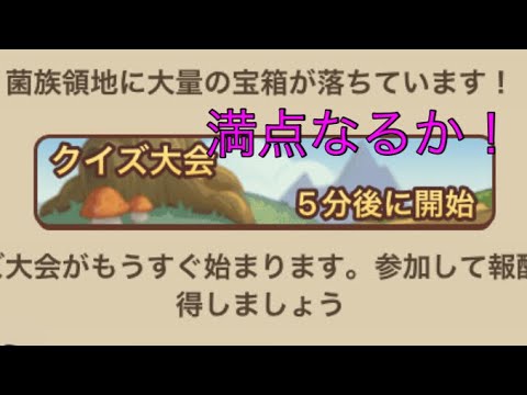 【キノコ伝説】クイズ大会で満点目指してみた