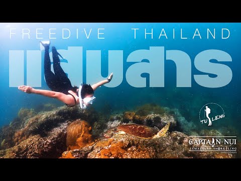Freedive-Thailand-Samaesarn-ดำ Freedive-Thailand-Samaesarn-ดำ