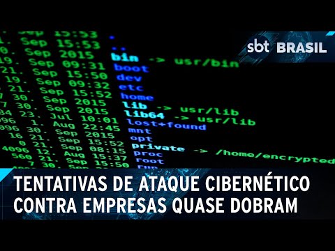 Companhias adotam medidas para aumentar a segurança digital | SBT Brasil (06/04/24)