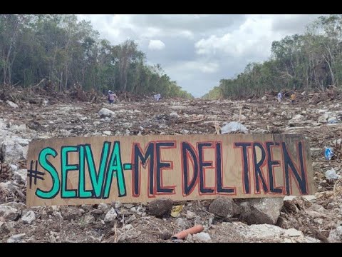 El ecocidio del Tren Maya