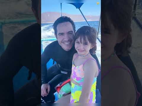 Mauricio Ochmann Revela Que Eugenio Derbez Quiere Reconciliarlos Con Aislinn Derbez