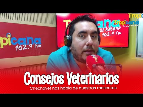 Consejos veterinarios