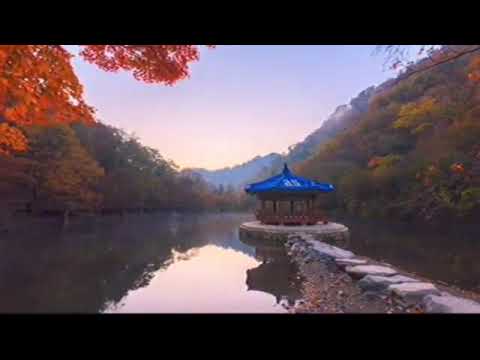 [AS BUMP] Ben Benjamin - Nyphie