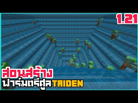 สอนสร้างฟาร์มTriden|Minecra