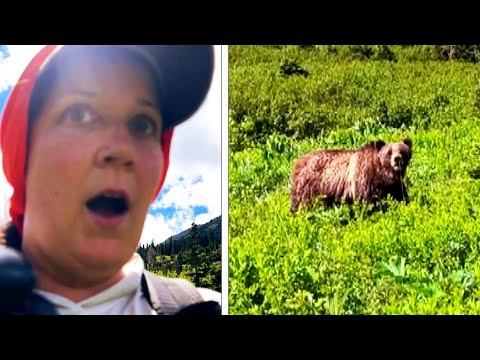 Woman Calmly Talks to Huge Grizzly Bear While Hiking in Park