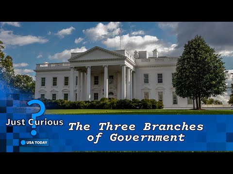 How do the three branches of government work together? | USA TODAY