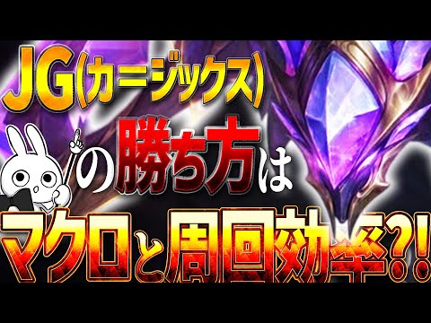 ガンク刺さらなくても勝つ方法、それは効率良い森周回とマクロ・・・ですか カジックス [League of Legends]