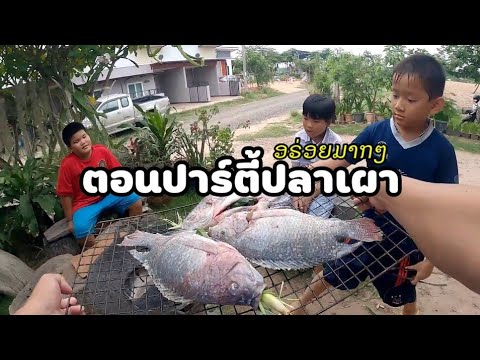 ตอนวิธีเผาปลาง่ายๆ ตอนวิธีเผาปลาง่ายๆ