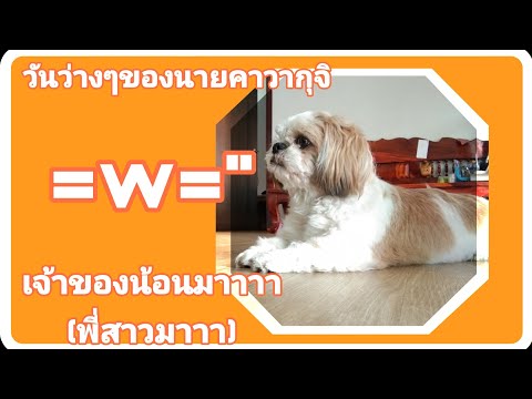วันว่างๆของนายคาวากุจิ-:-ในวัน วันว่างๆของนายคาวากุจิ-:-ในวัน