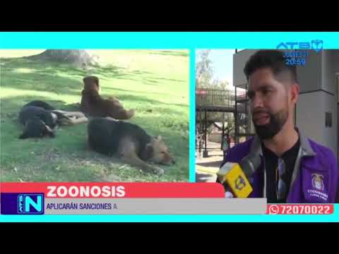 Cochabamba: Zoonosis incrementará los controles ante la cantidad de mordeduras de perros registradas