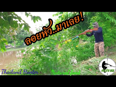 #SHOOT-FISH-ยิงปลาลอย..หน้าฝน- #SHOOT-FISH-ยิงปลาลอย..หน้าฝน-