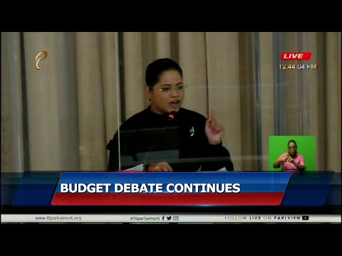 2023 Budget Debate Continues