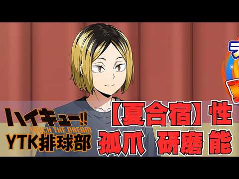 【 ハイドリ 】3.5周年イベント情報 夏合宿 孤爪研磨 キャラ性能 / ドリームマッチ【 ハイキュー Touch The Dream / YTK排球部 】