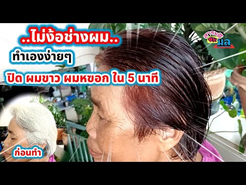 วิธีปิดผมขาว-ผมหงอกแนบสนิทใน-5 วิธีปิดผมขาว-ผมหงอกแนบสนิทใน-5