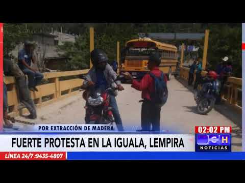 ¡Protesta! Se toman puente de La Iguala, Lempira por deforestación de más de 3 mil árboles