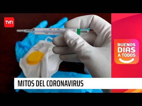 Experto aclara mitos en torno a formas de contagio de Coronavirus | Buenos días a todos