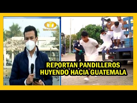 Reportan pand1ller0s salvadoreños huyendo a Guatemala | Penal Máxima seguridad