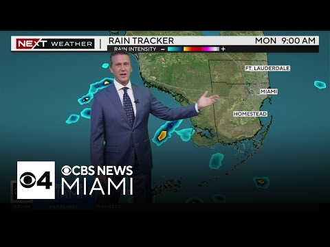 South Florida 11 p.m. Weather Forecast 10/13/2024