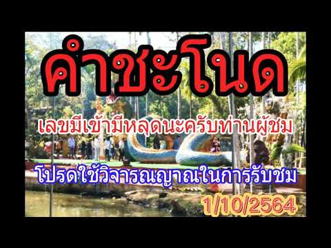 คำชะโนด(งวดที่แล้ว53มา35)11025 คำชะโนด(งวดที่แล้ว53มา35)11025