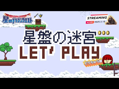 【星ドラ 🦍ライブ配信】星盤の迷宮やりましょ♪【参加型】
