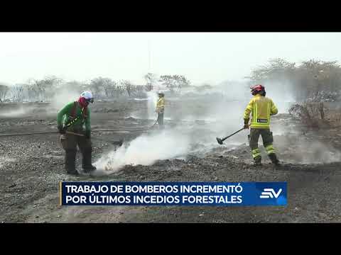 Bomberos, una tarea de riesgo