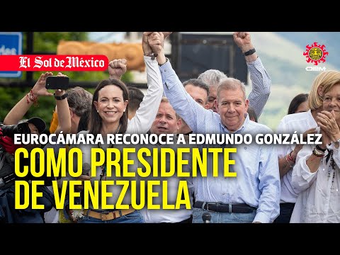 Eurocámara reconoce a Edmundo González como presidente de Venezuela