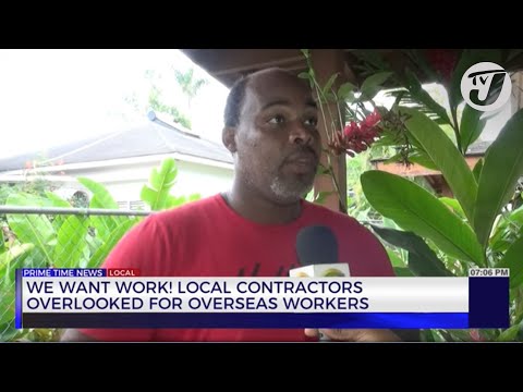 We want Work! Local Contractors Overlooked for Overseas Workers | TVJ News