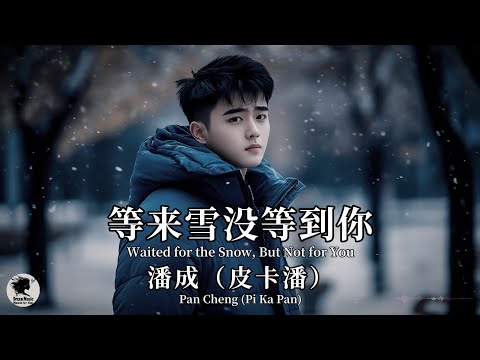 潘成（皮卡潘）Pan Cheng - 等来雪没等到你【Pinyin + Eng Sub | 梦幻音乐 | 简体拼音英文动态字幕】