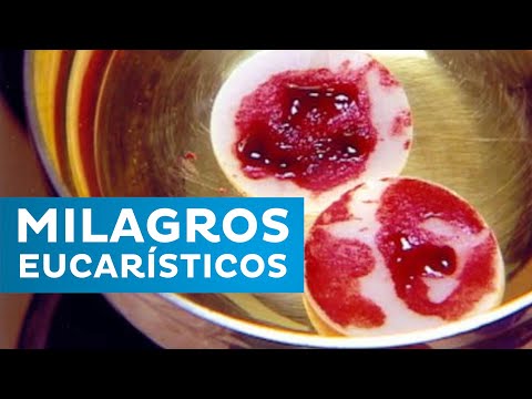 ?MILAGROS EUCARÍSTICOS?