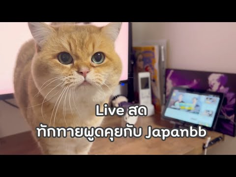 Liveสด•48มาทักทายพูดคุยกันนะค