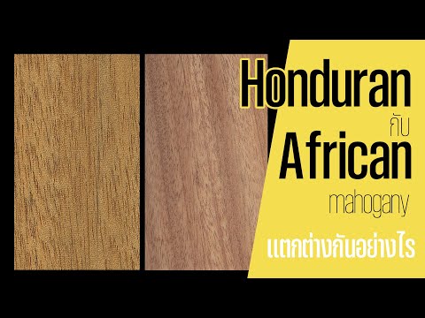 HonduranmahoganyกับAfrican