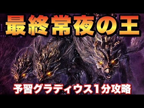 原初にして最強の王降臨！常夜の王グラディウス確定！通常グラディウス攻略で予習！【ナイトレイン】