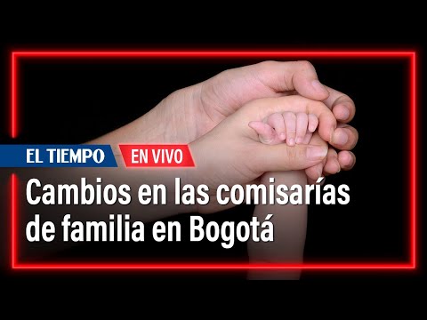 Se vienen cambios en las comisarías de familia en Bogotá | El Tiempo