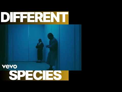 OFFSET, GUNNA - DIFFERENT SPECIES (REFIX)