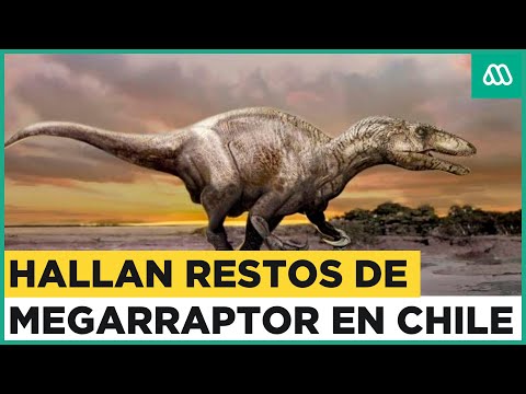 Hallan restos de dinosaurios en la Patagonia chilena