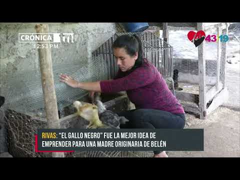 Mujer emprende exitoso negocio de aves exóticas en Rivas - Nicaragua