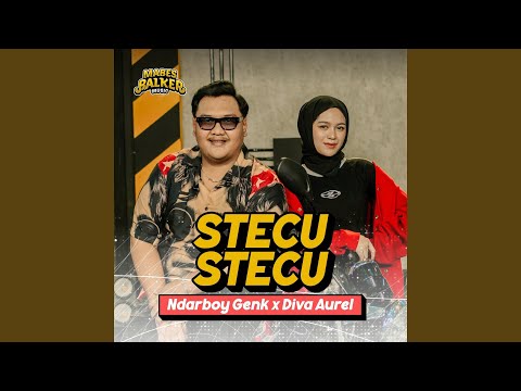 Stecu Stecu