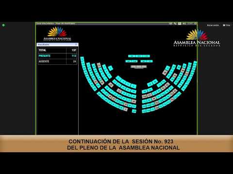 Votación de la objeción parcial - Sesión 923