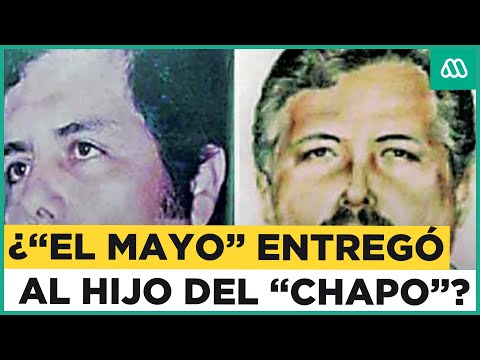 El Mayo: El narco rey del escape y líder del Cártel de Sinaloa su disputa con Los Chapitos
