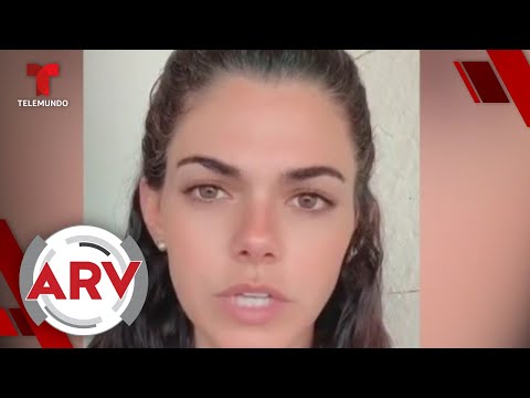 Livia Brito admite agresión a fotógrafo y pide disculpas públicamente | Al Rojo Vivo | Telemundo