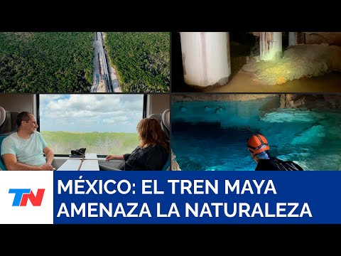 MÉXICO I El Tren Maya amenaza una joya de la naturaleza a su paso