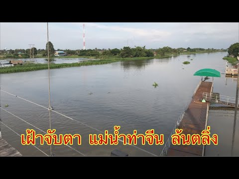 เฝ้าจับตา-แม่น้ำท่าจีน-ล้นตลิ่ เฝ้าจับตา-แม่น้ำท่าจีน-ล้นตลิ่