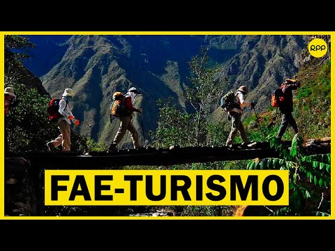 ¿Qué apoyo están recibiendo las MYPES del sector turismo en el Perú Entérate aquí