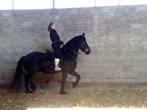 Patty mit Vant