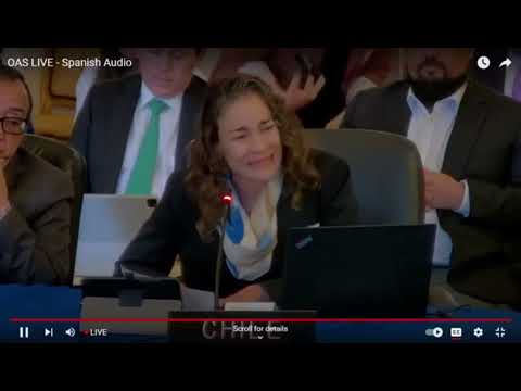 Llamado de Tamara Dávila en OEA: Actúen por una transición democrática en mi país Nicaragua