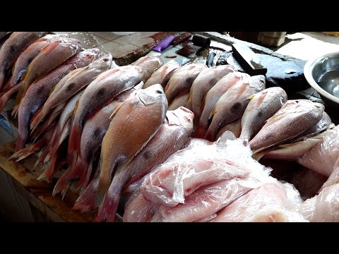 Alta demanda de mariscos dispara precio del camarón en mercados capitalinos