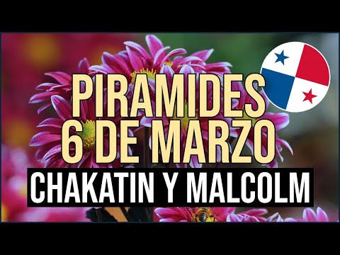 Pirámide Lotería de Panamá Miércoles 6 de Marzo 2024  Pirámide de Chakatin y Malcolm Ramos
