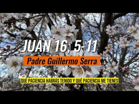 ? EVANGELIO del DÍA 16 de MAYO con el PADRE GUILLERMO SERRA  JUAN 16, 5-11 ? PASCUA